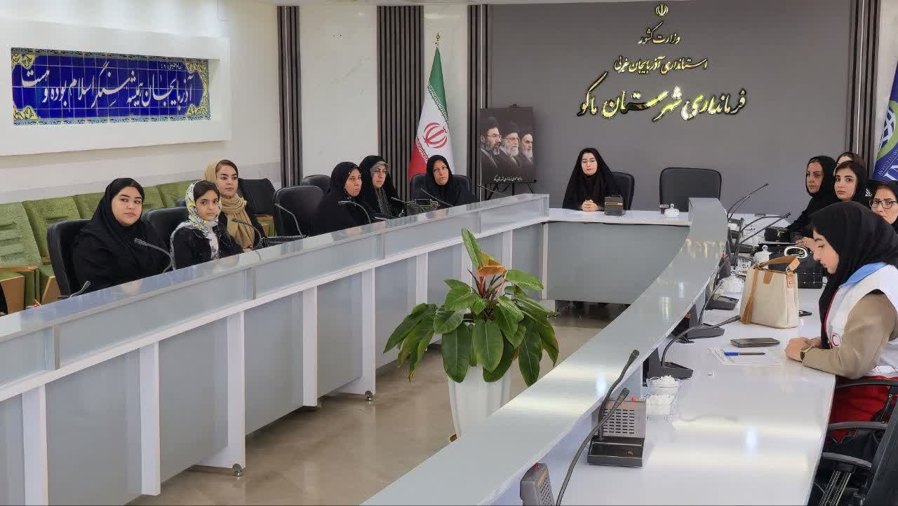 حضور بانوان ماکویی در وبینار آموزشی ورود زنان روستایی و عشایری به بازارهای دیجیتال