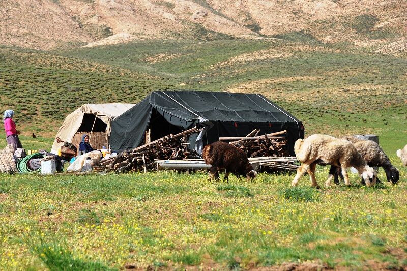 طلوع امید در قشلاقها؛ روایت یک سال خدمت به عشایر ماکو