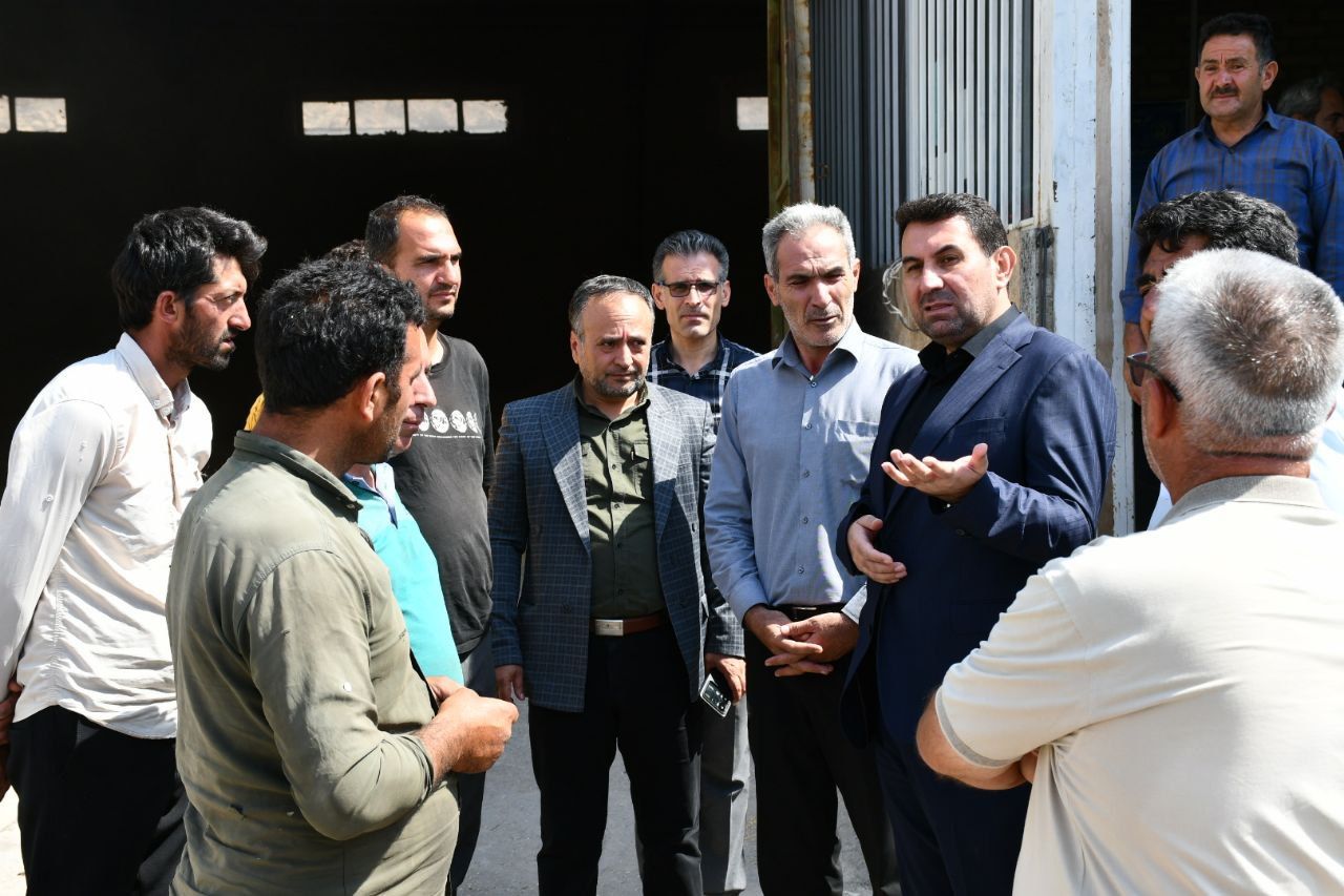 از آغاز فصل برداشت گندم، مرکز خرید گندم شهرستان ماکو تا کنون 469 تن و 495 کیلوگرم گندم از شهرستان های ماکو ، شوط ، پلدشت و چالدران خریداری نموده است