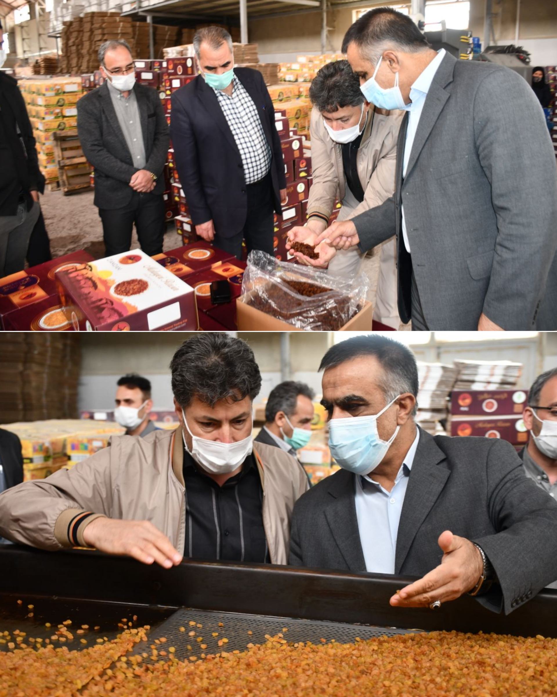 بازدید محمدی ایروانلو فرماندار شهرستان ماکو بهمراه رئیس اداره صمت از کارخانه تولید میوه خشک ( کشمش ) ابراهیم پور جهت بررسی مشکلات کارخانه