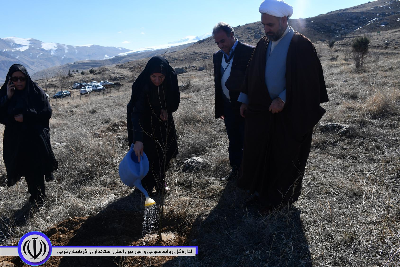 همزمان با سراسر کشور ، مراسم روز درختکاری در ماکو برگزار شد
