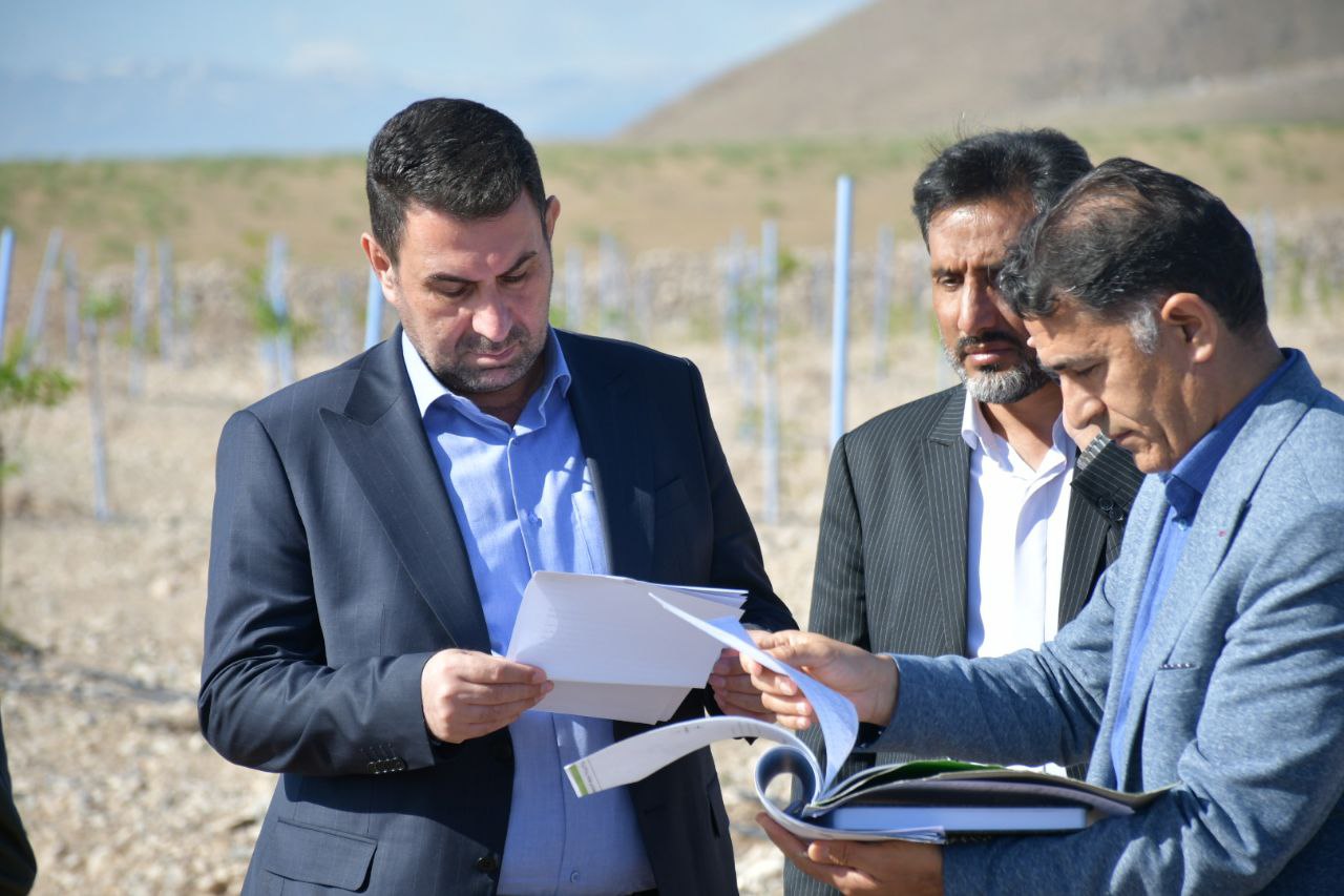 حل و فصل اختلافات بین مرتع داران روستای تلیم خان از توابع بخش مرکزی و سرمایه گذار پروژه بزرگ ملی دشت زیدون
