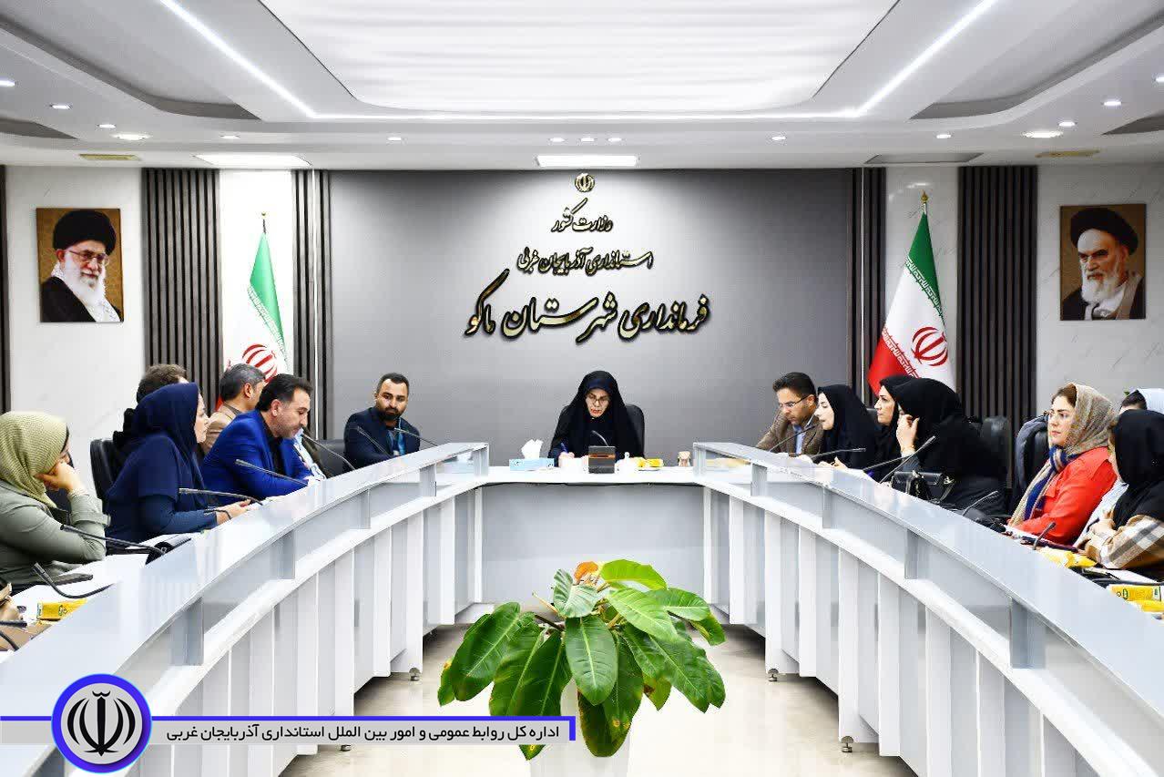 لزوم اجرایی شدن طرحهای حمایت از زنان خانهدار و کارآفرین در ماکو