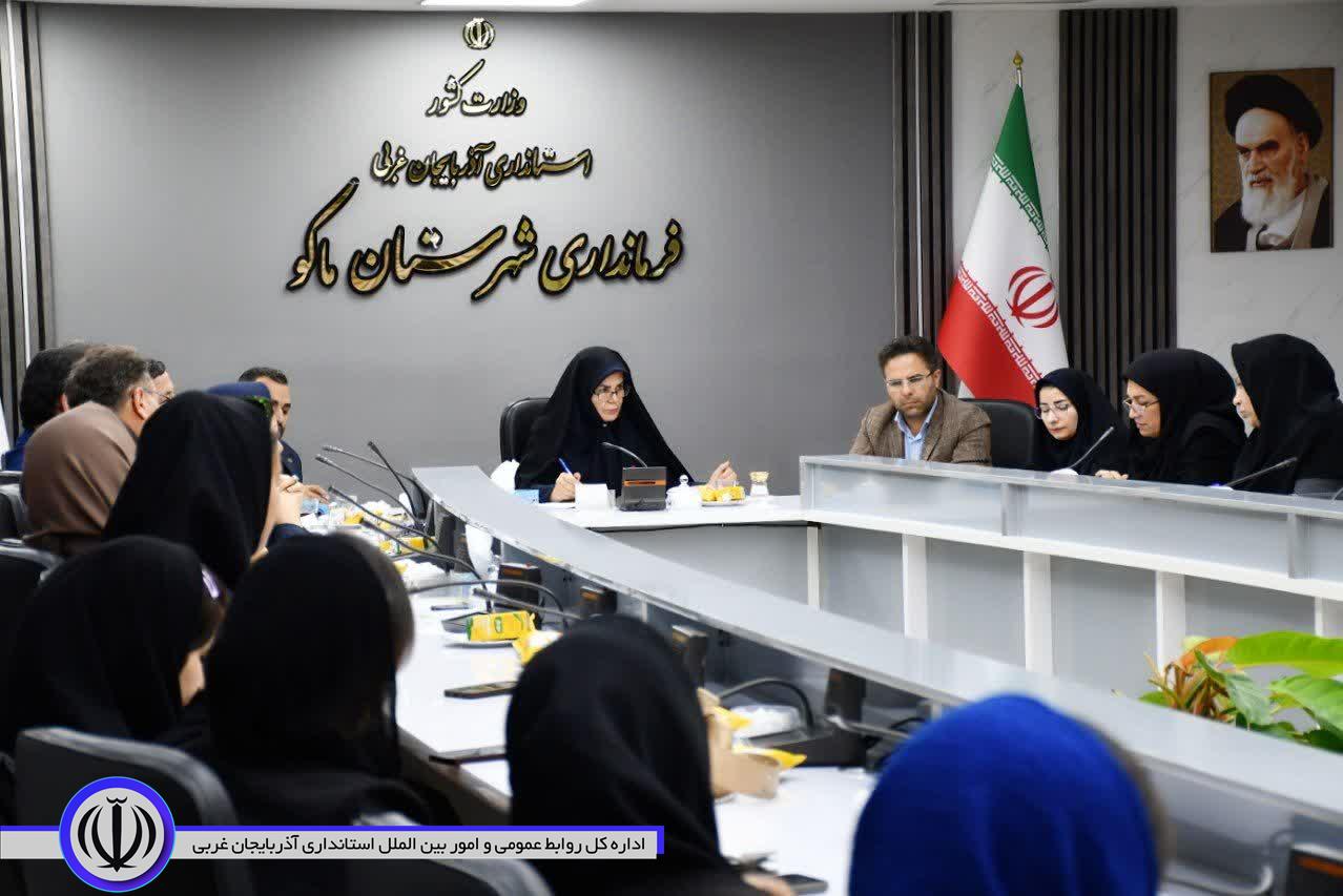 لزوم اجرایی شدن طرحهای حمایت از زنان خانهدار و کارآفرین در ماکو