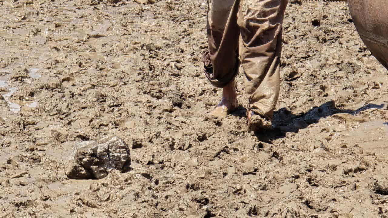 حضور میدانی فرماندار ماکو و مدیران استانی و شهرستانی در مناطق سیلزده بورالان؛ تداوم ارزیابی خسارات و پیگیری روند امدادرسانی
